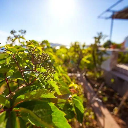 Petar Holiday home Donji Okrug (Ciovo)
