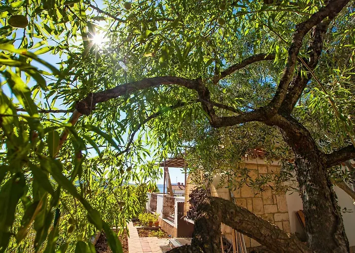 Petar * Donji Okrug (Ciovo)